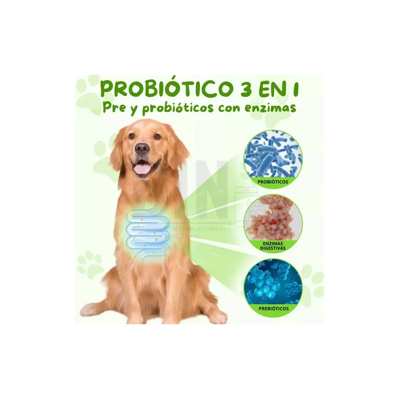 Suplemento Alimenticio Perro Probióticos Enzimas Digestivas