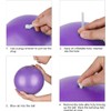 2 Pack Exercise Balls, 9.8 Inch Pilates Balls Barre Balls