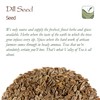 Dill Seeds Organic Spice Fresh - Perfect for Cooking -