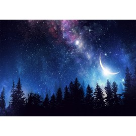 Loccor 10x6.5ft Fabric Starry Sky Forest Backdrop Night Forest Scene Galaxy Starry Night Sky Moon Background Universe Nebula Backdrop for Party Decorations Kids Adults Photo Studio Props