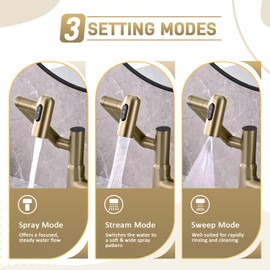 XIANPIOO Bathroom Sink Faucet, Rotatable Faucet with Temperature Display in Celsius(Batteries-Free), 1080° Swivel | 3 Water Modes Faucet for Bathroom Kitchen Rv, LCF-2401, Brushed Nickel