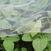 Ultra Fine Garden Netting, 4'x10' Plant Netting Pest Barrier for