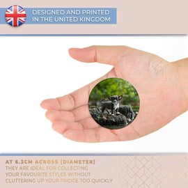 Destination Vinyl ltd Magnet for Refrigerator, Fridge - Cute Baby Chihuahua Dog Puppy for Office, Cabinet and Whiteboard, Magnetic Stickers, 44753