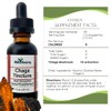 Northern Elderberry Chaga Mushroom Tincture, 1 oz Dual Extraction |