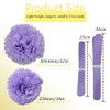 Ruidee 12 Pieces Tissue Paper Pompoms 10in and 12in Hanging