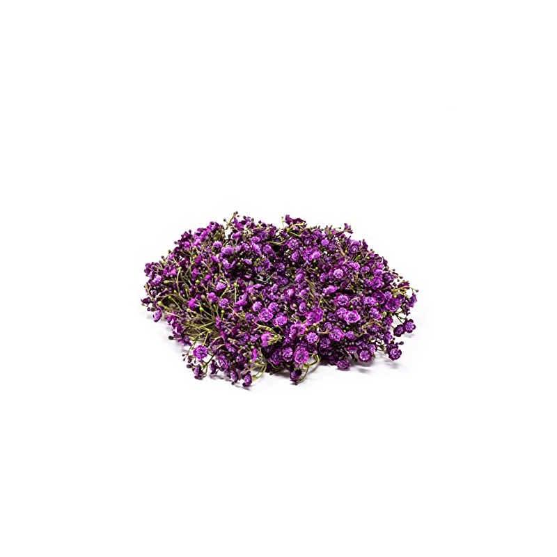 Exner GmbH Gypsophilia linz Wreath - Purple - 33 cm