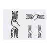 4 x 'Greek Trident' Temporary Tattoos - Water Resistant, Skin-Safe,