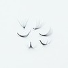 GorgeousLash 1000 Premade Lash Fans. 10D, 8D, 7D, 6D, 5D,