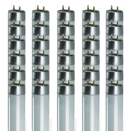 GoodBulb 32-Watt 48-Inch T8 Fluorescent Light Bulb | 5700K Daylight White Color Medium Bi-Pin Base | 3100 Lumens 88 CRI 24000 Life Hours | Instant/Programmed Start | Pack of 30
