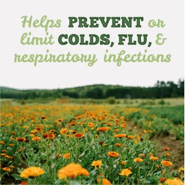 St. Francis Herb Farm Deep Immune® Original Tincture – Natural Immunity Booster - Helps Prevent or Limit Colds, Flu and Respiratory Infections – Organic Herbs, Non GMO, Vegan, Dairy Free –– 50 mL