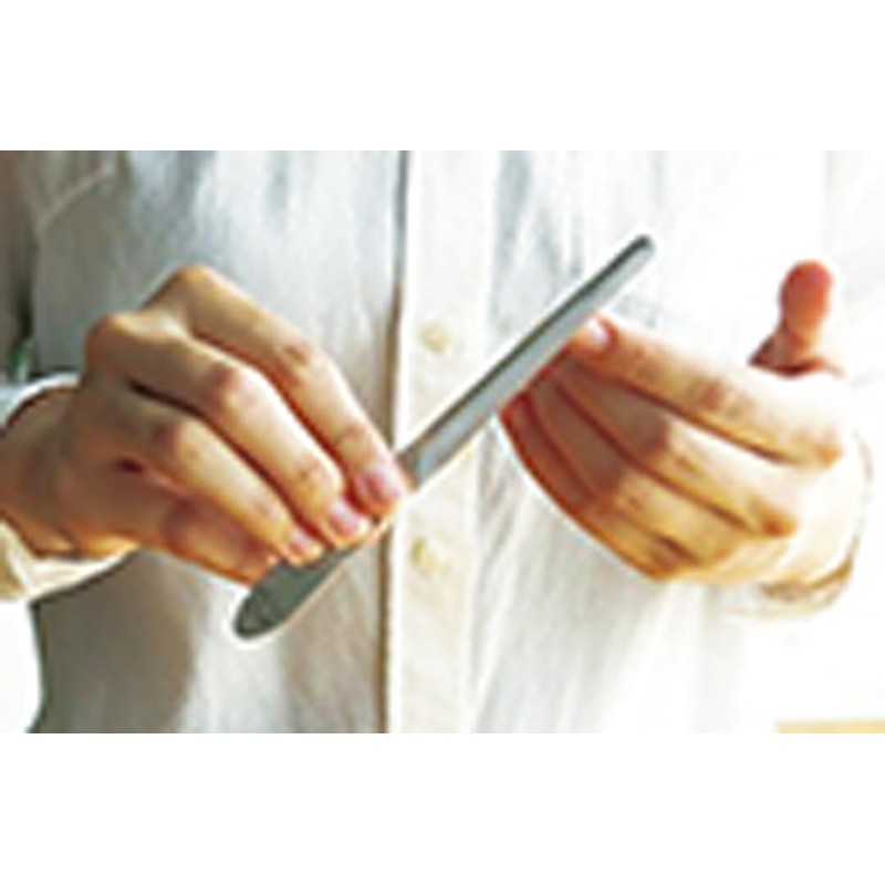 Handsawa File Nail File Standard with Case Red Silver