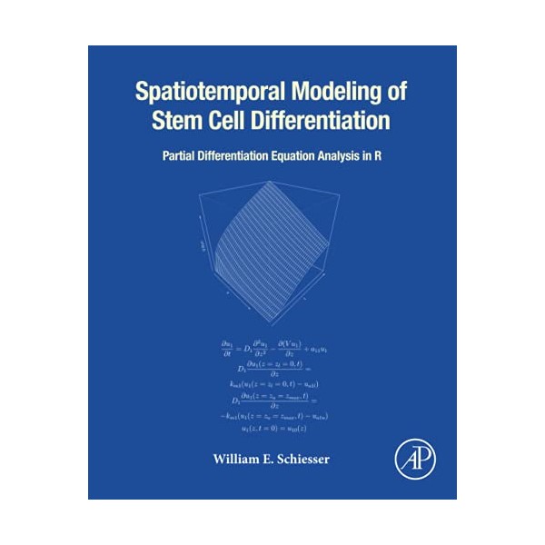 Spatiotemporal Modeling of Stem Cell Differentiation: Partial Differentiation Equation Analysis