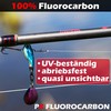 Paradox Fishing 100% PX Fluorocarbon Leader 30 m 0.25 mm
