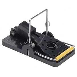 Kness Mouse Trap, 4 In. L, 3 In. W, 1-3.4 In. H