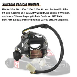 CADICATV Ignition Magneto Plate Stator Fits for 50cc 70cc 90cc 110cc 125cc Go Kart Taotao Dirt Bike Pit Bike Kazuma SSR Baja ATV Quad Dune Buggy 4 Wheeler