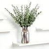 Artificial Eucalyptus Stems in Glass Vase with Faux Water, 17.5"