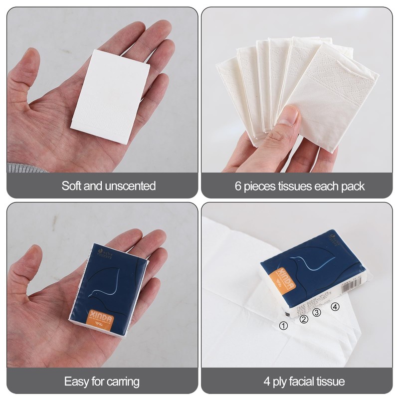 Aninhao 120 Pack Pocket Size Facial Tissues, 4 Ply Mini