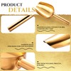 Roshtia 12 Pcs Gold Ice Scoops Stainless Steel Mini Scoop