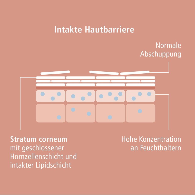 VICOPURA REPIDOUX Intensiv-Creme, 50ml, Hornhautcreme zur Pflege rauher, verhornter Haut