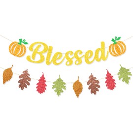 VILIFEVER Blessed Banner for Fall Thanksgiving Decorations, Thanksgiving Banner for Mantle, Fall Garland with Pumpkin Maple Leaves Bunting Friendsgiving Party Decorations Harvest Home Office Decor