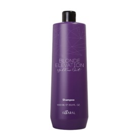 비엔에스토어 Dano Clinic Karal Acidic Color Shampoo Yellow Out 1L