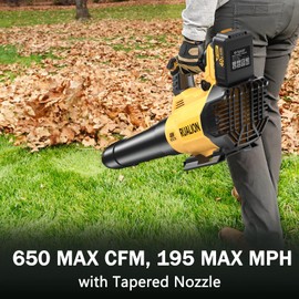 RUALION Leaf Blower Cordless Up to 650 CFM 195 MPH-Electric Leaf Blowers Brushless-Battery Powered Blowers for Lawn Care, Patio, Garage(40V 6.0 Ah Battery and Charger Included)