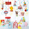 NICROLANDEE Carnival Party Decorations, Pack of 30 Circus Hanging Swirl