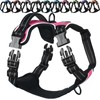 VIVAGLORY Dog Harness Easewalk No Pull Dog Harness with Handle