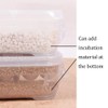 NGe Reptile Egg Breeding Hatchery Box Incubator Tray Container Box