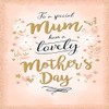 Piccadilly Greetings Mother's Day Card Special Mum - 9 x