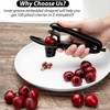 Cherry Pitter - Ordekcity Stainless Steel Cherries Corer Pitter Tool