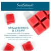 ScentSationals Scented Wax Cubes Value Pack - Strawberries and Cream,