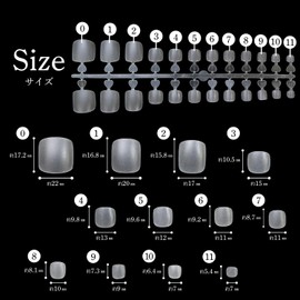 NTIP-006 Nail Tips [For Foot] 240 Pieces 12 Sizes Flesh Foot Length Clear Transparent Self Nail Gel Nail Sanded Glitter Puffy Round