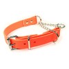 Adjustable Waterproof Martingale Half-Check Stainless Steel Chain Training Dog Collar