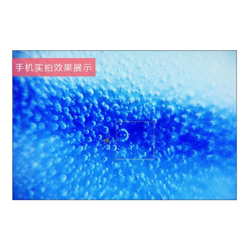 PMARKET Microscopio Lupa Luz Led 90x Naturaleza Y Detector Billetes