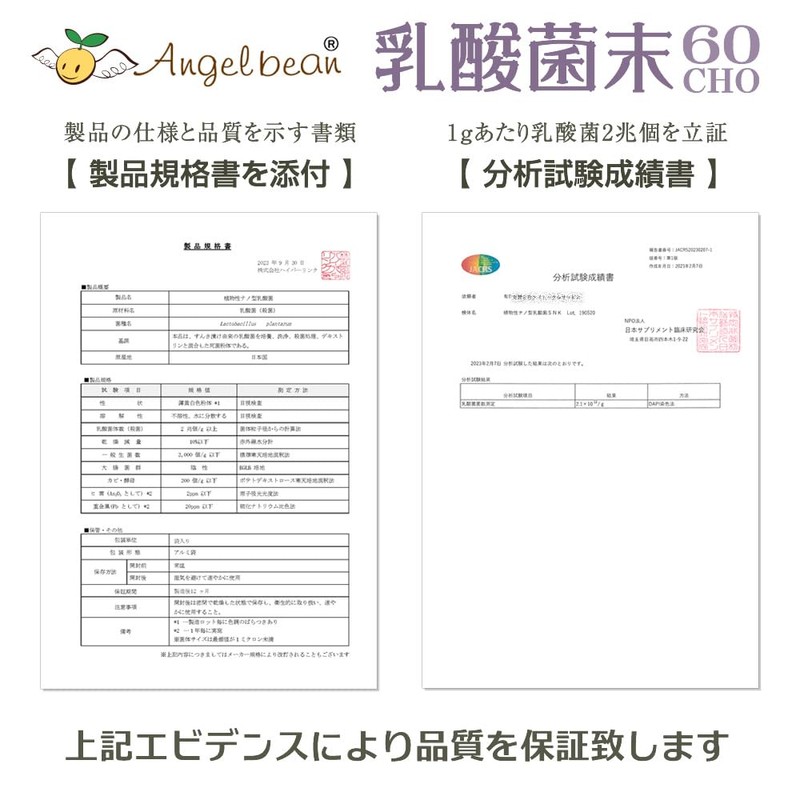 Angelbean 100% Lactic Acid Bacteria, Vegetable Nano Type, Powder 1.1
