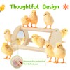 Cubolar Pine Chicken Perch with Mirror, Strong Chick Jungle Gym
