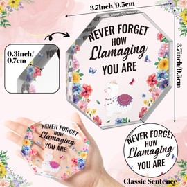 WATINC Llama Inspirational Gifts for Women - Motivational Cheer Up Desk Accessories Decor, Acrylic Encouraging Quotes Table Centerpiece Sign, Teacher Co Worker Office Encouragement Plaque Present