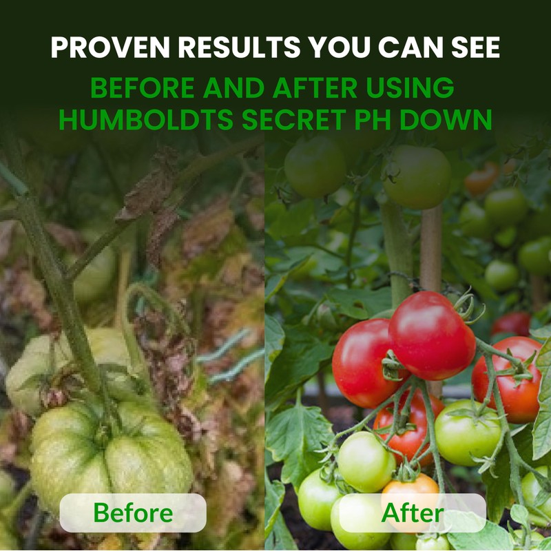 Humboldts Secret pH Down for Plants | Liquid pH Adjuster