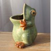MONMOB Ceramic Frog Shaped Plant Pot Bonsai Flower Pot ucculent