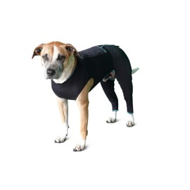 BENEFAB Therapeutic Comfort Suit for Dogs — Lightweight Far-Infrared Jacket for Canines of All Ages — Relaxing FIR Compression Suit Soothes Muscles, Joints, and Pain (X-Small)