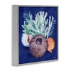 Stupell Industries Urchin Sea Life Framed Giclee Art Design by