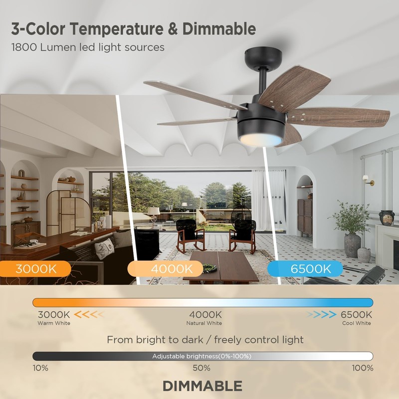Vagizm Ceiling Fan 36'' for Small Room: Modern Ceiling Fans