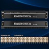 OFFCUP Vibraphone, 24 Holes Double Row Blues harp Diatonic Harmonica,