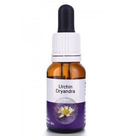 Living Essences Urchin Dryandra 15ml