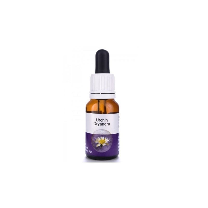Living Essences Urchin Dryandra 15ml