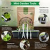 20 Culinary Herbs & Edible Flower Seeds Variety Pack for