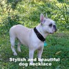 Reflective Dog Collar and Leash Set - Adjustable Collar with