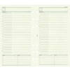Raymay Fujii Davinci DR270 Bible Size Personal Organizer Refill, Freestyle