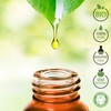 NiaouliÖl Bio Ätherisches Öl 100% Reines 10 ml - Aromatherapie